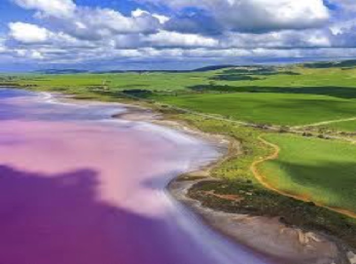 XL 南澳 阿德莱德 粉富畅游 奔富+粉湖—— 美酒美景一日尽享 （4～12月）