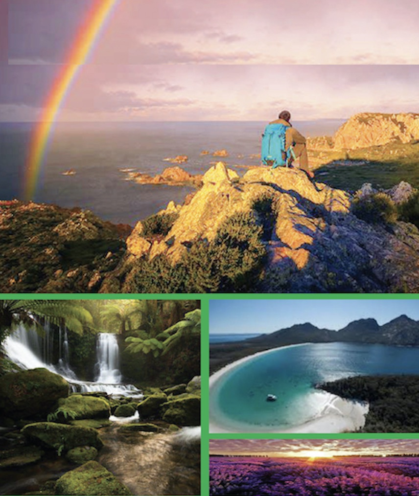 追星塔斯马尼亚